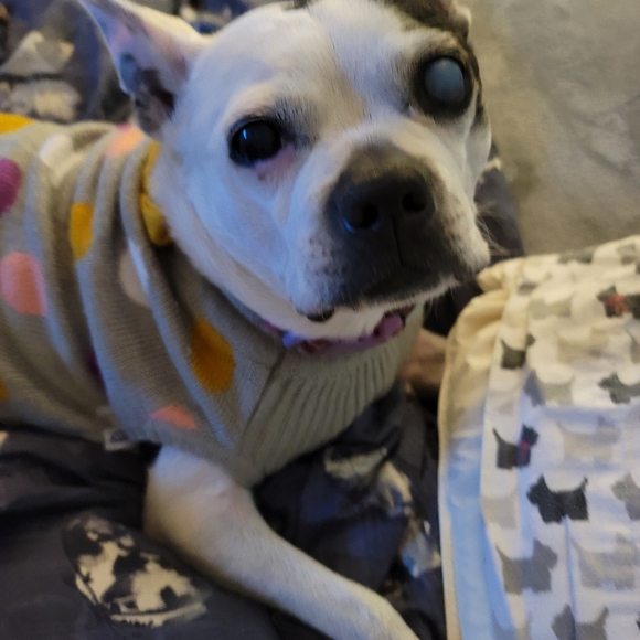 MEET YOUR SELLER - Picture 7 of 11